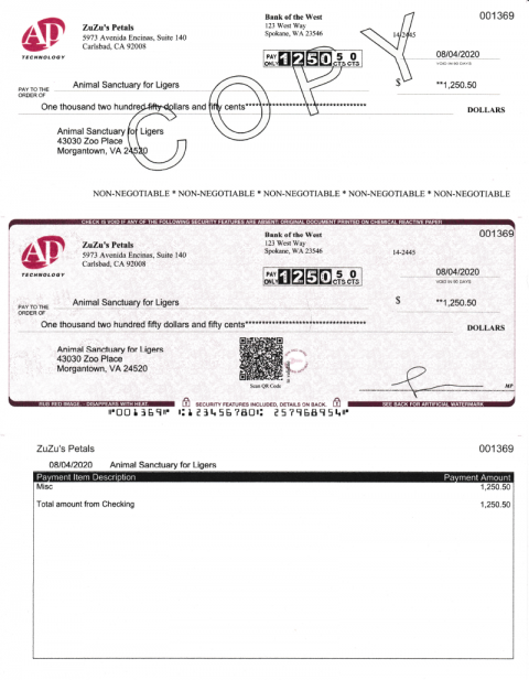 TruPrint Blank Check Stock | Secure Your Payments | Checkrun